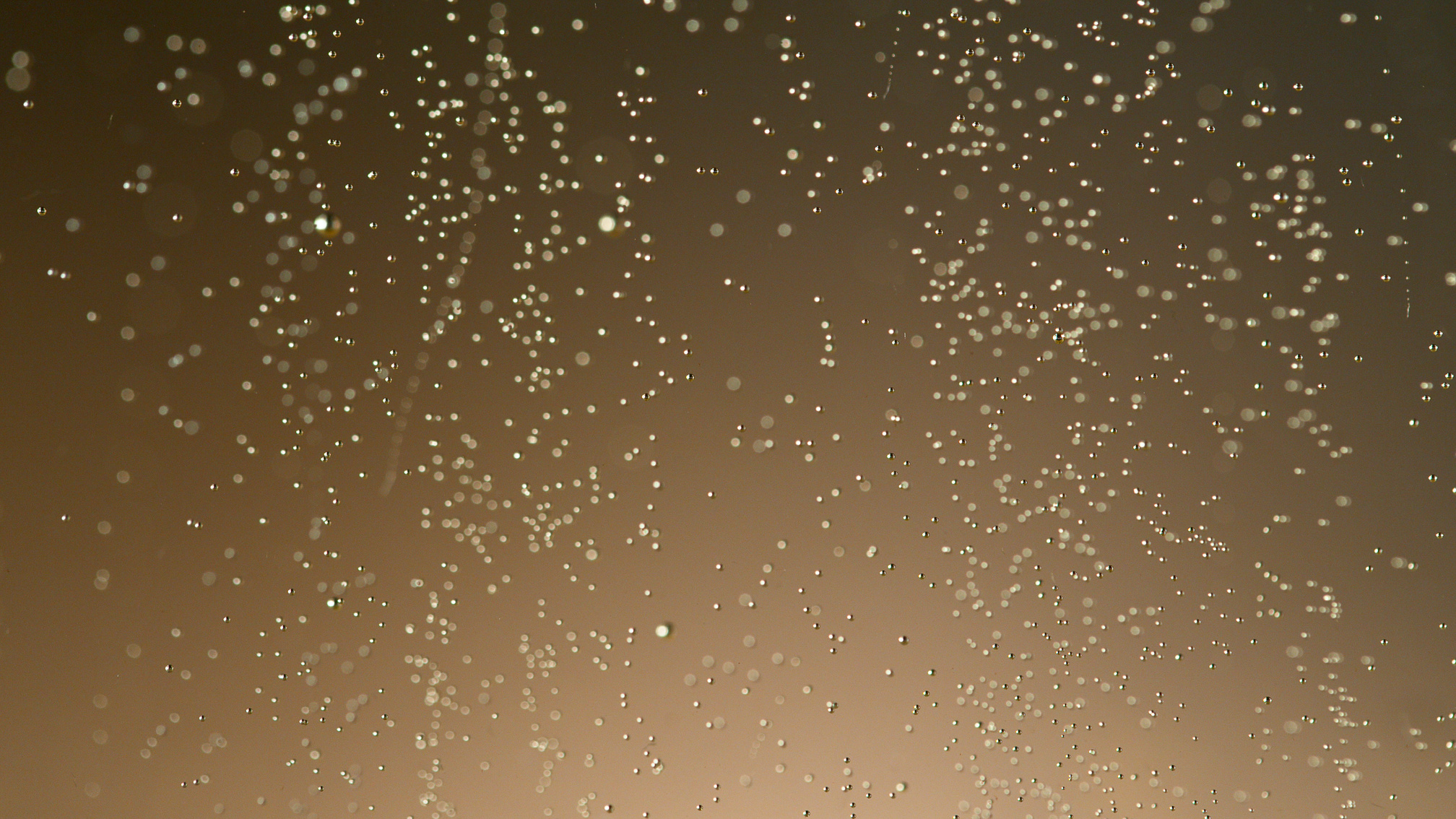  Champagne Bubbles on Background